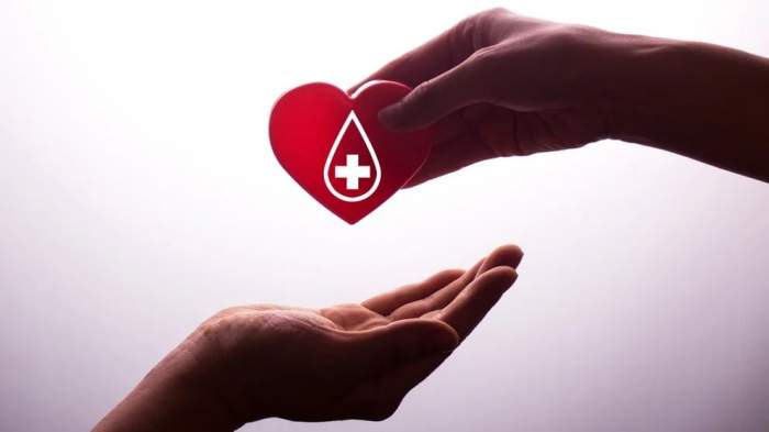DÍA MUNDIAL DEL DONANTE DE SANGRE: 10 MITOS Y RESPUESTAS SOBRE EL TEMA